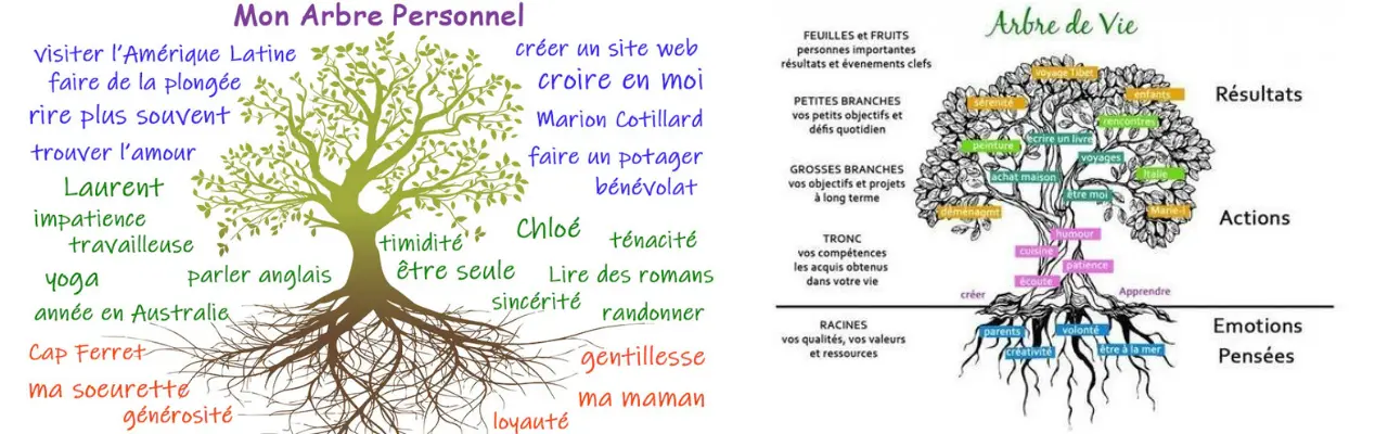 L'arbre de vie comme outil de développement personnel