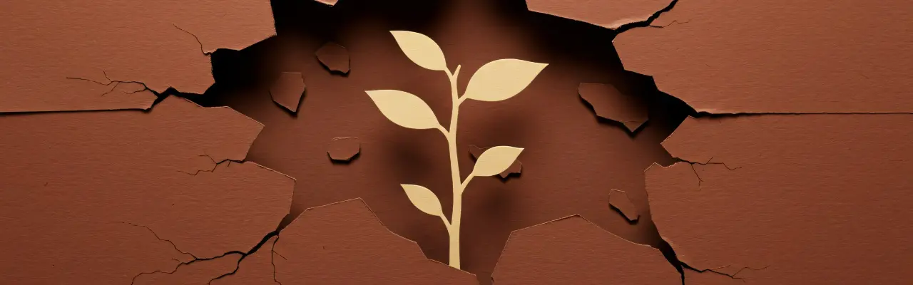 Petite plante dorée poussant à travers une terre fissurée, symbolisant le renouveau et la libération énergétique.